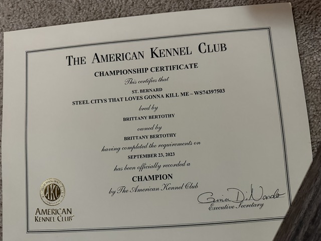 AKC New Champion Certificate  