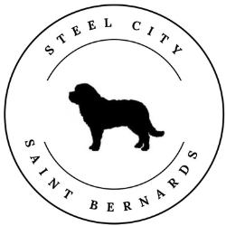 Steel City Saints